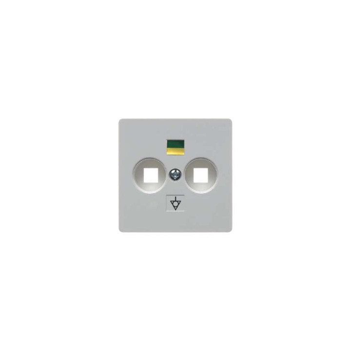 Berker 140309 Zentralplatte für Doppel-Potenzialausgleich-Steckdose Zentralplattensystem
