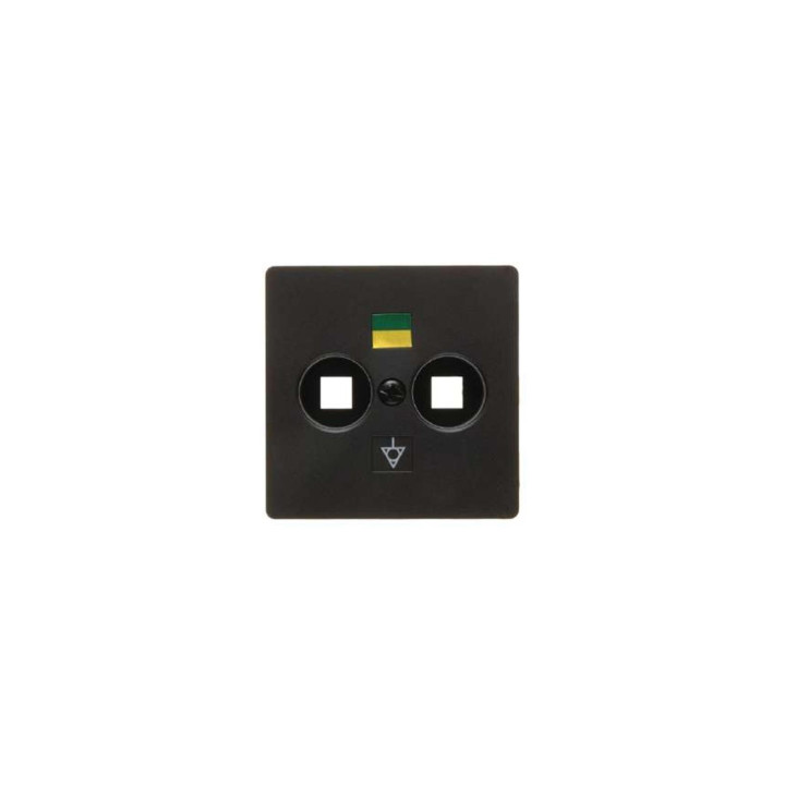 Berker 14031606 Zentralplatte für Doppel-Potenzialausgleich-Steckdose Zentralplattensystem