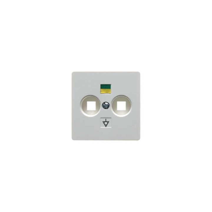 Berker 14031909 Zentralplatte für Doppel-Potenzialausgleich-Steckdose Zentralplattensystem