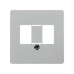 Berker 145809 Zentralplatte für TAE-Steckdose 6/6FF und 6/6NF Zentralplattensystem