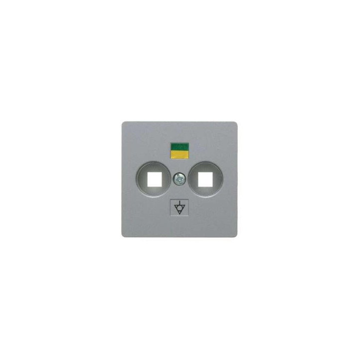 Berker 14031404 Zentralplatte für Doppel-Potenzialausgleich-Steckdose Zentralplattensystem
