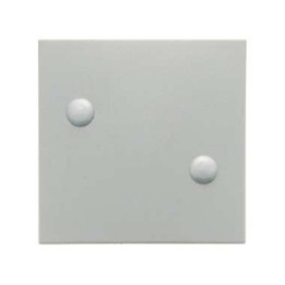 Berker 15701909 Wippe anschraubbar Berker S.1/B.1/B.3/B.7 Glas polarweiß, matt