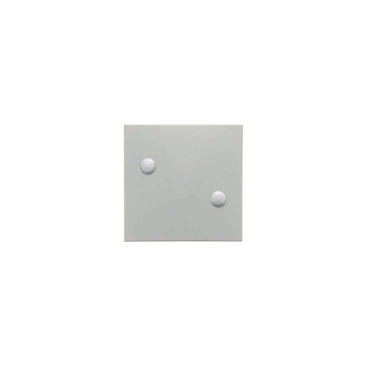 Berker 15701909 Wippe anschraubbar Berker S.1/B.1/B.3/B.7 Glas polarweiß, matt