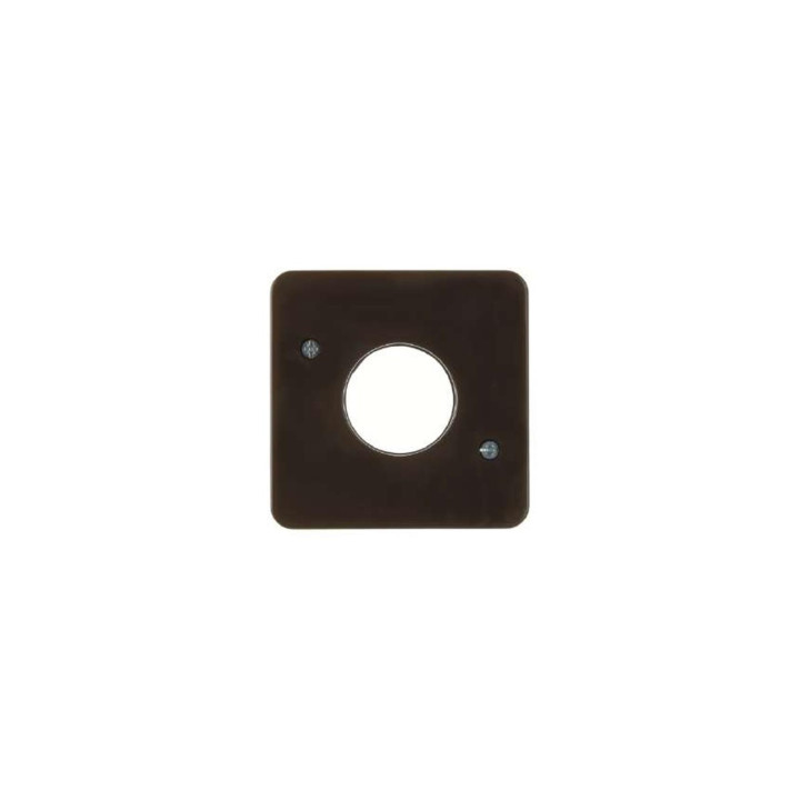 Berker 153001 Zentralstück für Drucktaster und Lichtsignal E10 wg Up IP44 braun, glänzend