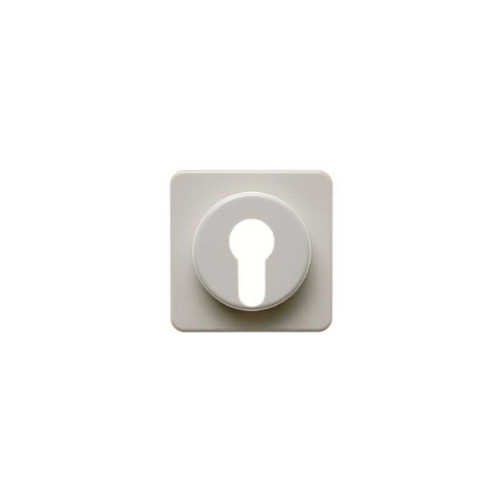 Berker 151912 Zentralstück für Schlüsselschalter/-taster wg Up IP44 weiß, glänzend