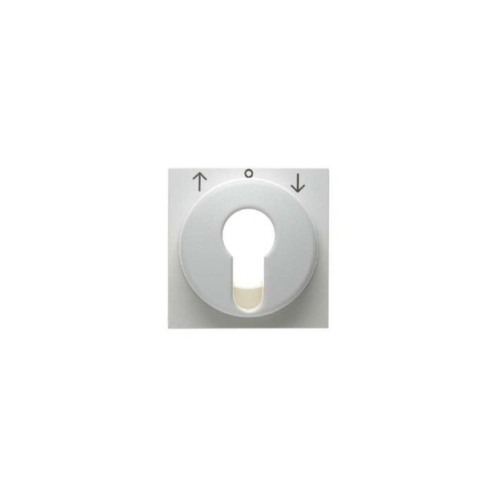 Berker 15068989 Zentralstück für Jalousie-Schlüsselschalter/-taster Berker S.1/B.3/B.7 Glas