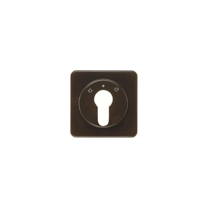Berker 151811 Zentralstück für Jalousie-Schlüsselschalter/-taster wg Up IP44 braun, glänzend