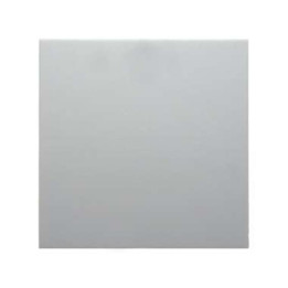 Berker 16201909 Wippe Berker S.1/B.1/B.3/B.7 Glas polarweiß, matt