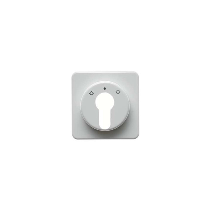 Berker 151819 Zentralstück für Jalousie-Schlüsselschalter/-taster wg Up IP44