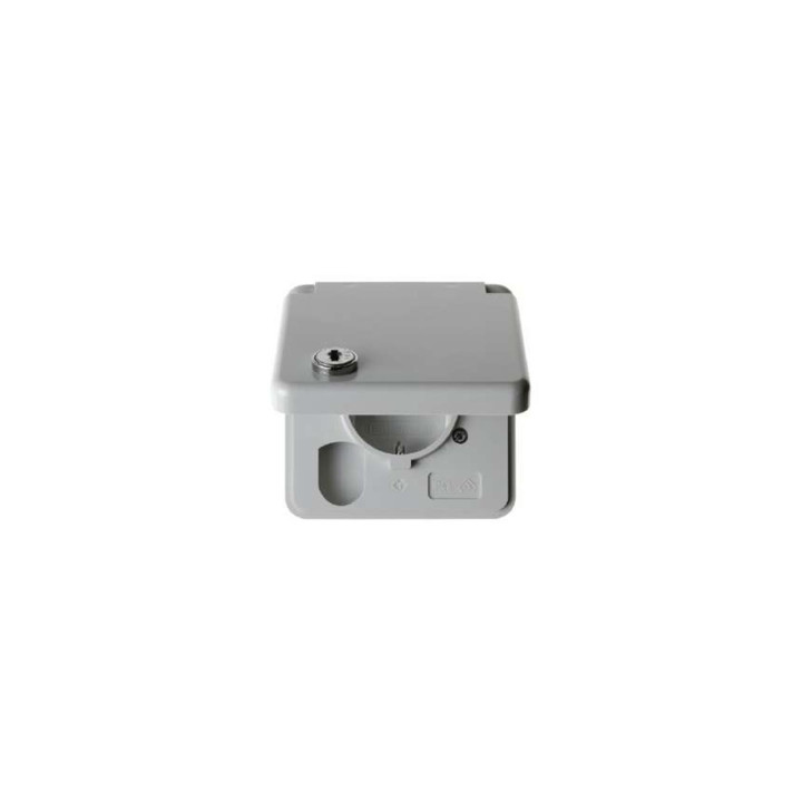 Berker 4212 SCHUKO-Steckdose mit Schraubklemmen mit Abdeckplatte, Klappdeckel und Schloss wg Up IP44