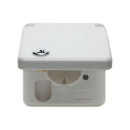 Berker 421209 SCHUKO-Steckdose mit Schraubklemmen mit Abdeckplatte, Klappdeckel und Schloss wg Up IP44
