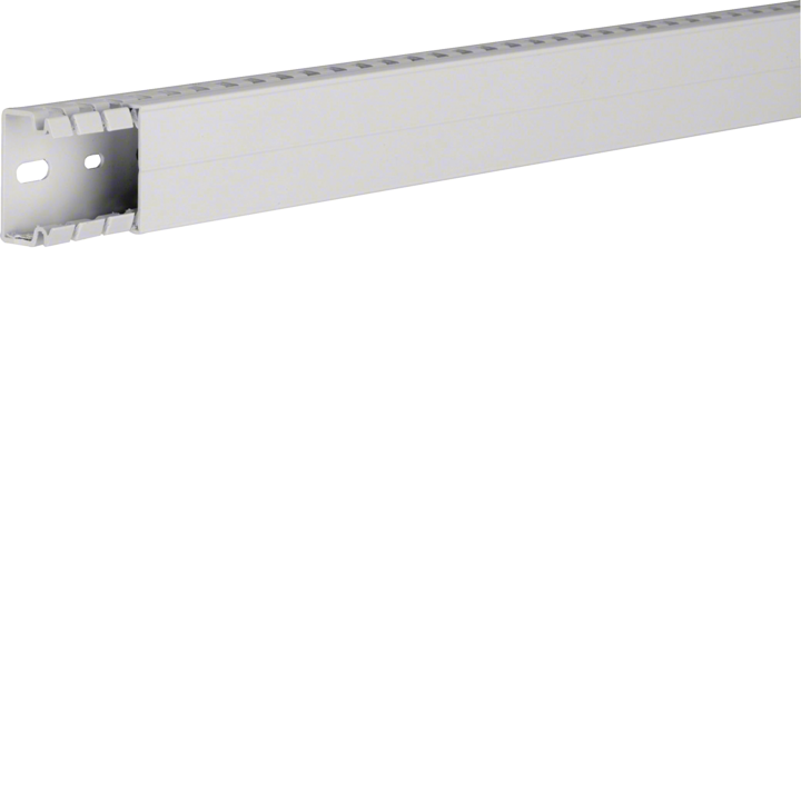 Hager HA725040 išpjovos skydo kanalas HA7 25x40 mm, pilka